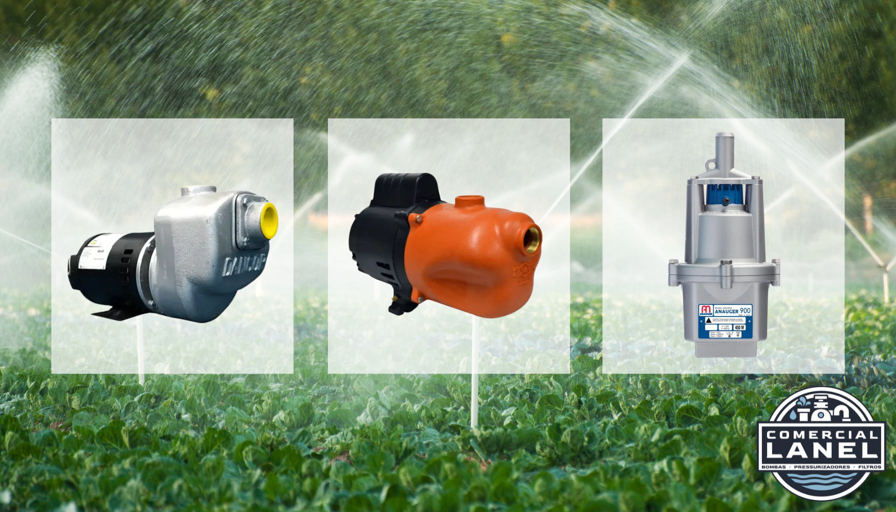 Transforme Sua Irrigação: 5 Estratégias para Escolher a Bomba de Água Perfeita