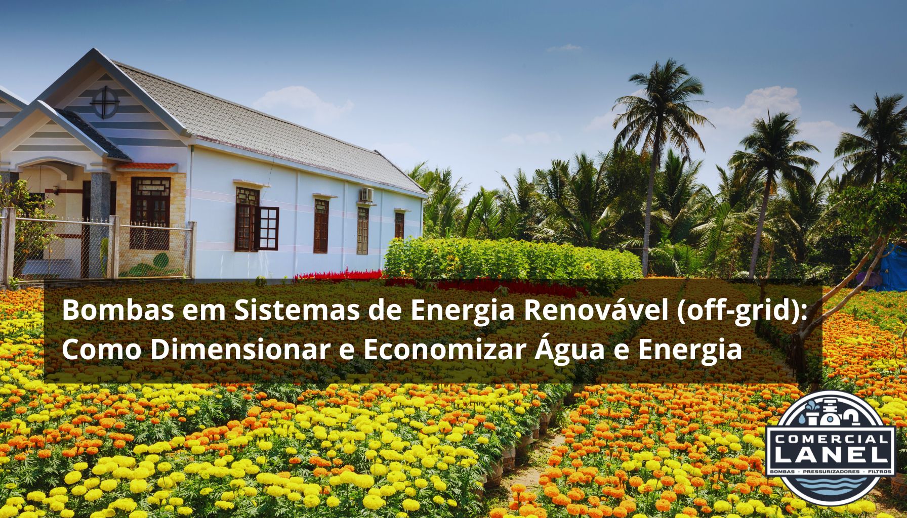 Bombas em Sistemas de Energia Renovável (off-grid)