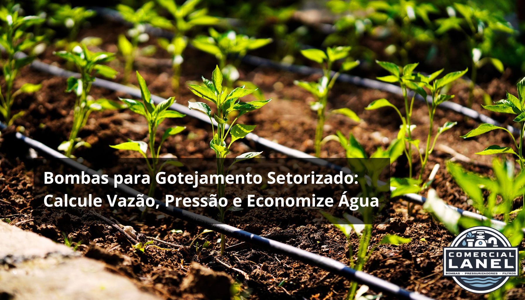 Bombas para Gotejamento Setorizado: Calcule Vazão, Pressão e Economize Água