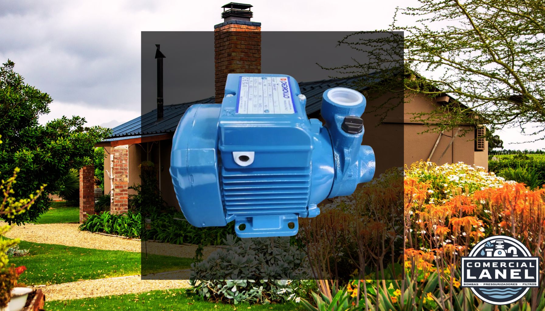 Bomba Periférica Claw Pedrollo PKM60