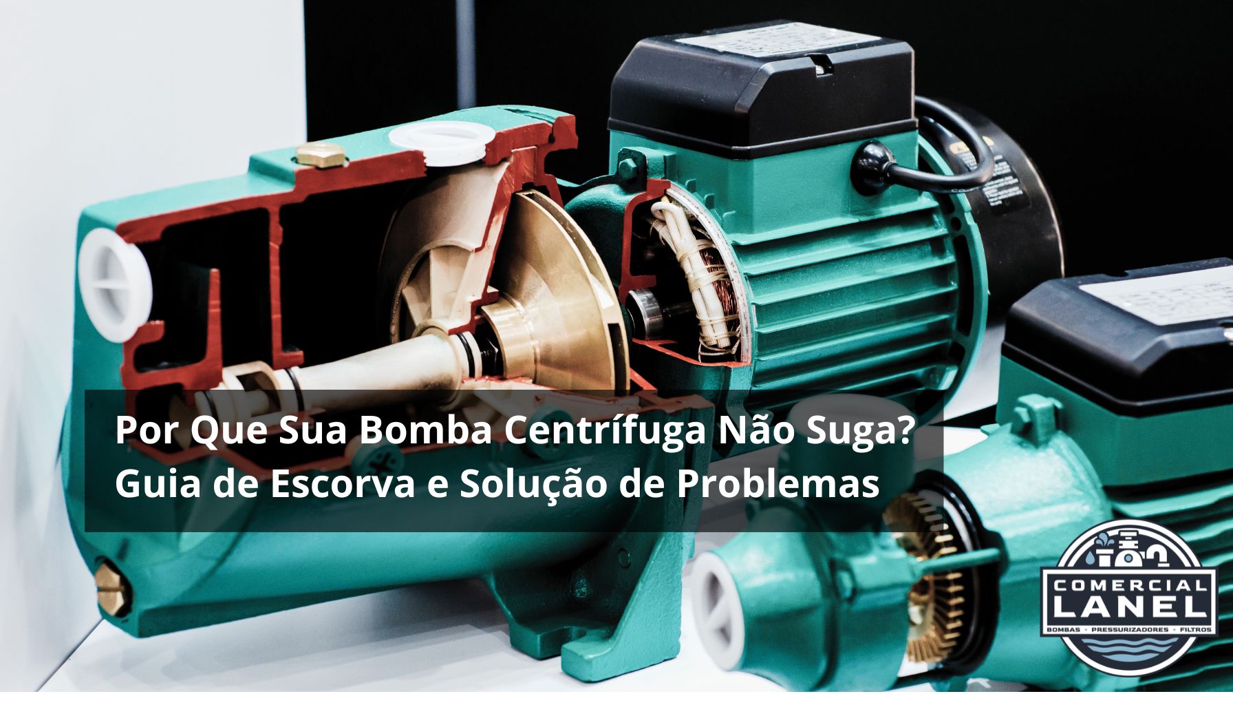 Por Que Sua Bomba Centrífuga Não Suga? Guia de Escorva e Solução de Problemas