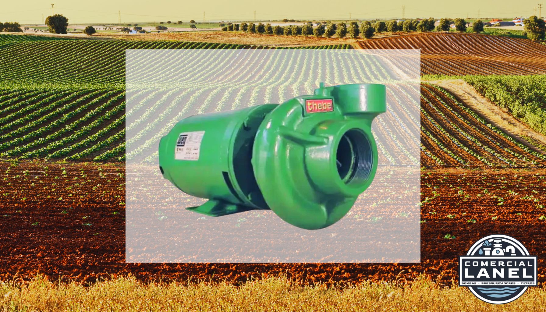 Bomba Thebe THL-13 4,0CV