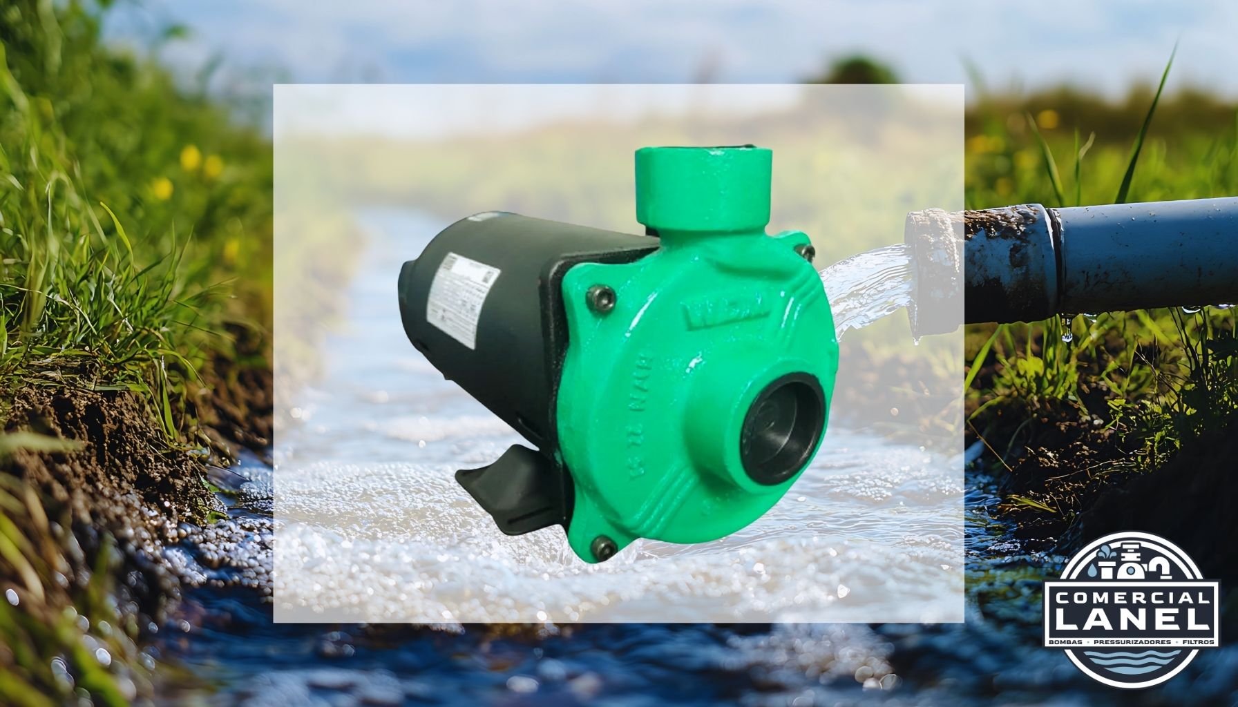 Bomba WDM EE 1.5 2,0 CV: Tudo o Que Você Precisa Saber Antes de Instalar