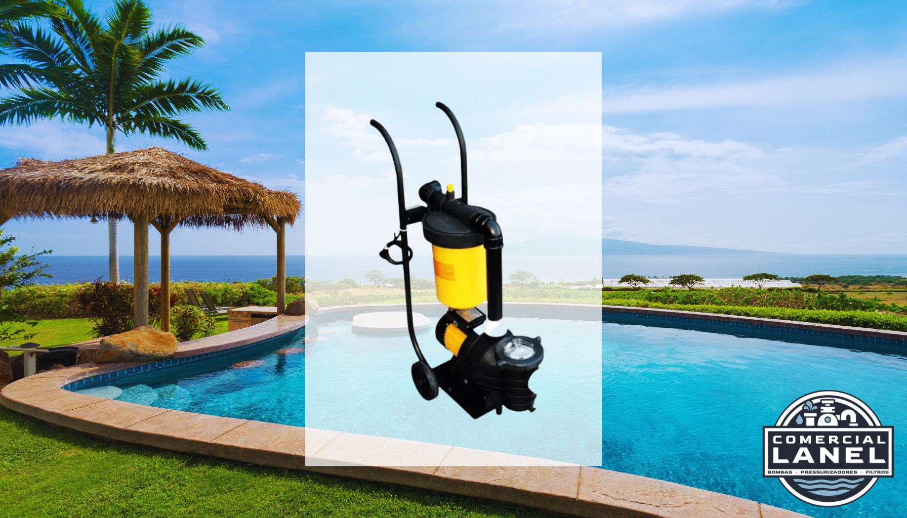 Conjunto Carrinho Jacuzzi 1CWF300-M2 1,0CV